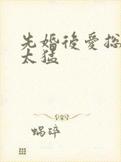 先婚后爱总裁别太猛