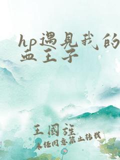 hp遇见我的混血王子