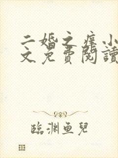 二婚之痒小说全文免费阅读