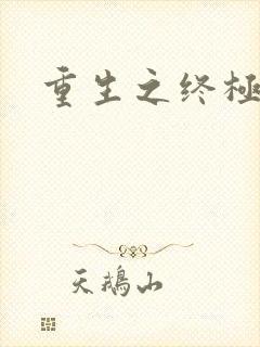 重生之终极杀手