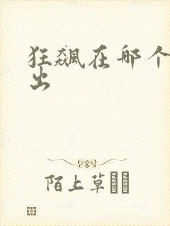 狂飙在哪个台播出