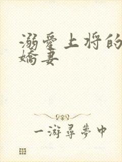 溺爱上将的宝贝娇妻