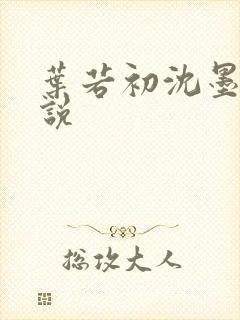 叶若初沈墨寒小说