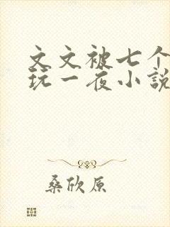 文文被七个男人玩一夜小说