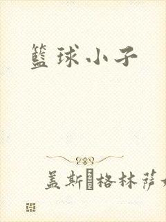 篮球小子