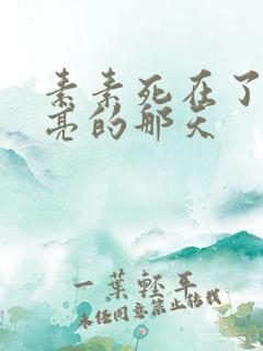 素素死在了最漂亮的那天