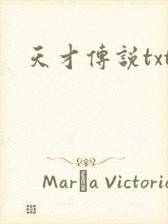 天才传说txt