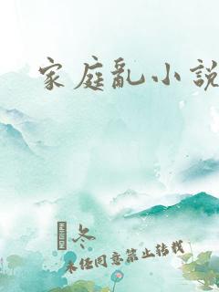 家庭乱小说