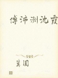 傅沛洲沈霞小说