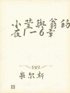 小莹与翁的销魂夜1一6章