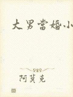 大男当婚小说