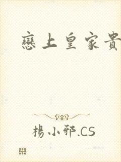 恋上皇家贵公主