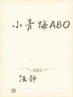 小青梅ABO