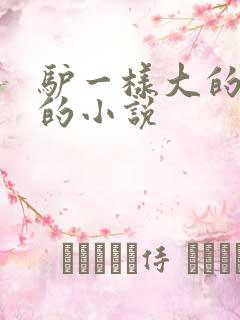 驴一样大的凶器的小说