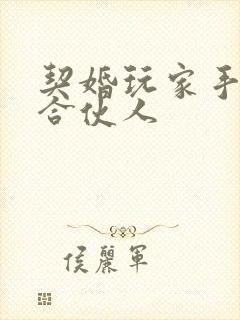 契婚玩家手册之合伙人