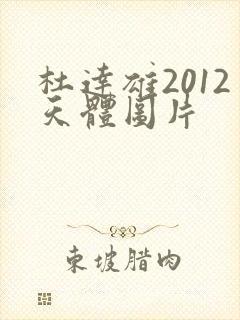 杜达雄2012天体图片