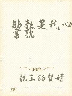 助教是我心尖宠书耽