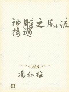 神雕之风流浪子杨过