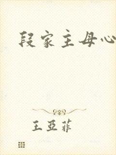 段家主母心太狠