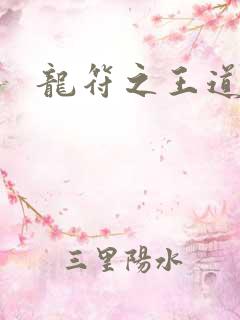 龙符之王道天下