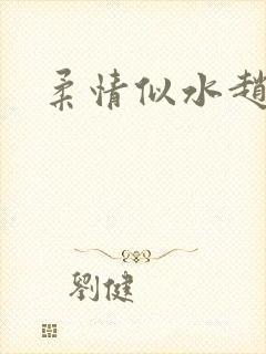 柔情似水赵雅儿