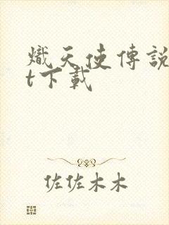 炽天使传说txt下载