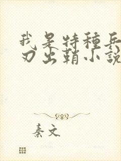 我是特种兵之利刃出鞘小说