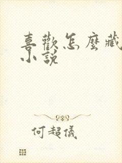 喜欢怎么藏不住小说