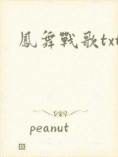 凤舞战歌txt
