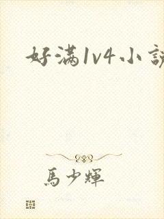 好满1v4小说