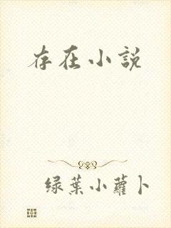 存在小说