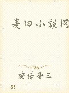 麦田小说网