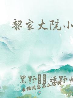 黎家大院小说