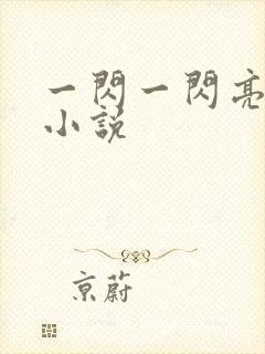 一闪一闪亮星星小说