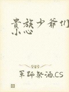 贵族少爷们 请小心