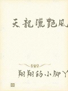 天龙猎艳风流