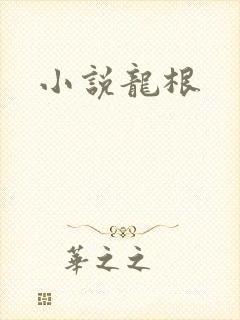 小说龙根