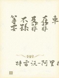 等不及在车里就要孙菲菲