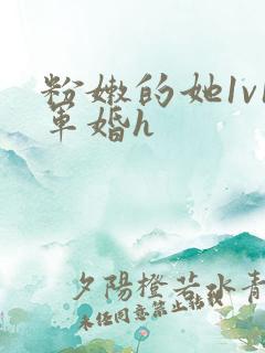 粉嫩的她1v1军婚h