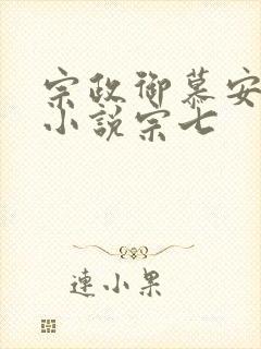 宗政御慕安安的小说宗七