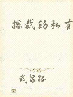 总裁的私有宝贝