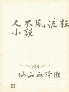 人不风流枉少年小说