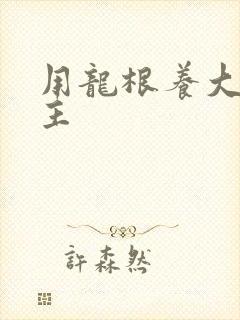 用龙根养大的公主