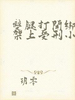 双腿打开绑在刑架上受刑小说