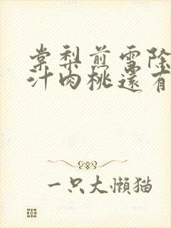 棠梨煎雪除了蜜汁肉桃还有什么肉