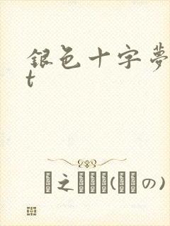 银色十字梦txt
