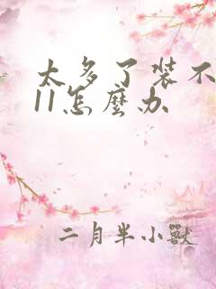 太多了装不下h11怎么办