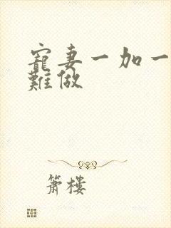 宠妻一加一老婆难做