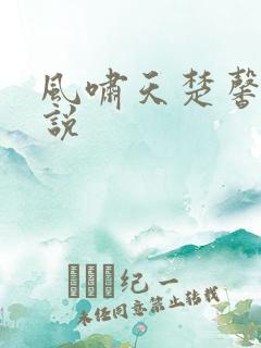 风啸天楚馨月小说