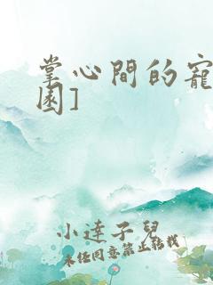 掌心间的宠[校园]